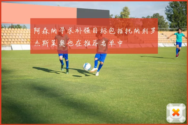 阿森纳寻求补强目标包括托纳利罗杰斯莱奥也在推荐名单中