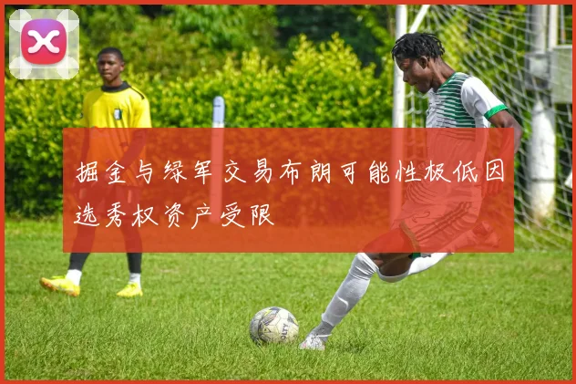 掘金与绿军交易布朗可能性极低因选秀权资产受限
