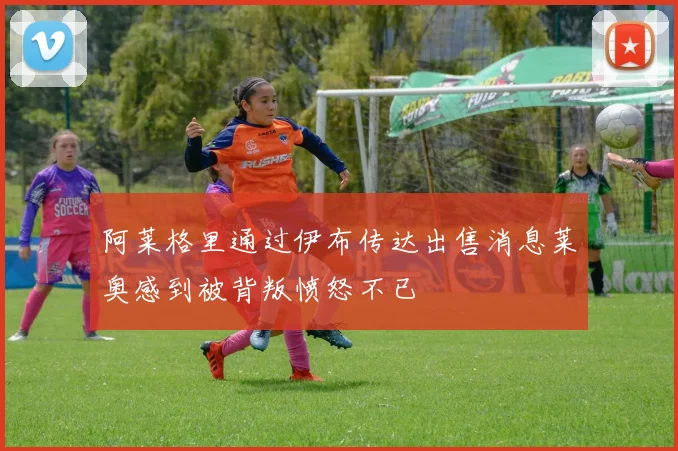 阿莱格里通过伊布传达出售消息莱奥感到被背叛愤怒不已